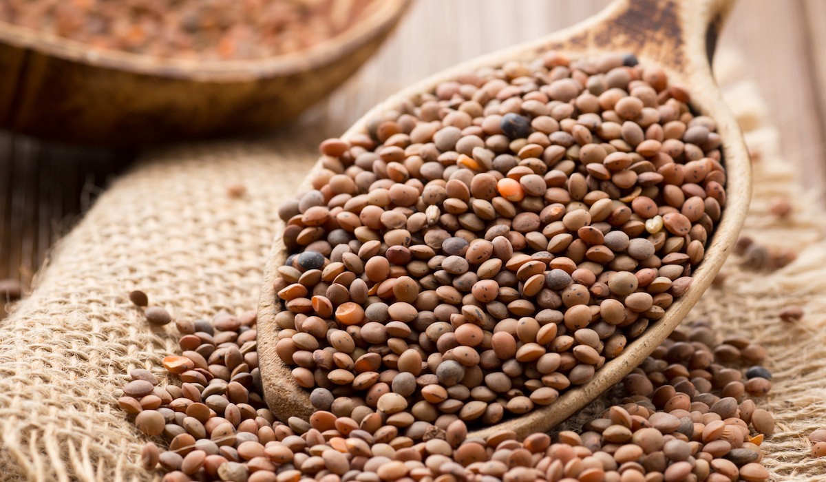 Lentils Export and Import