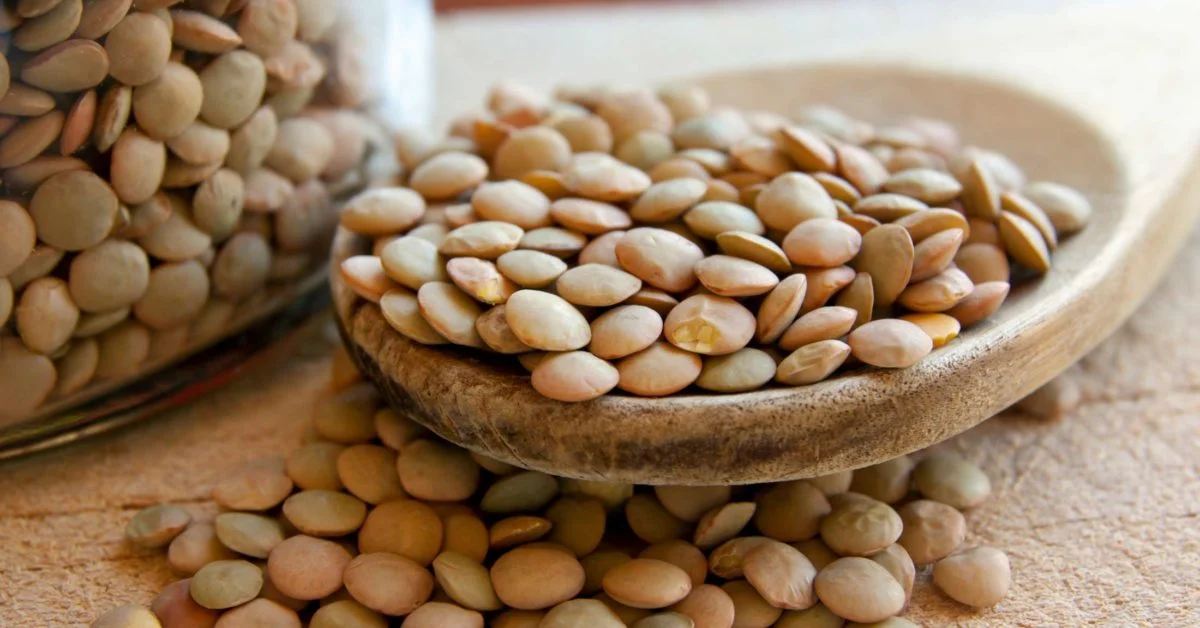 Protein Powerhouse