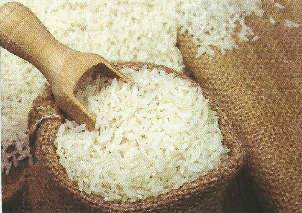 Rice Revolution